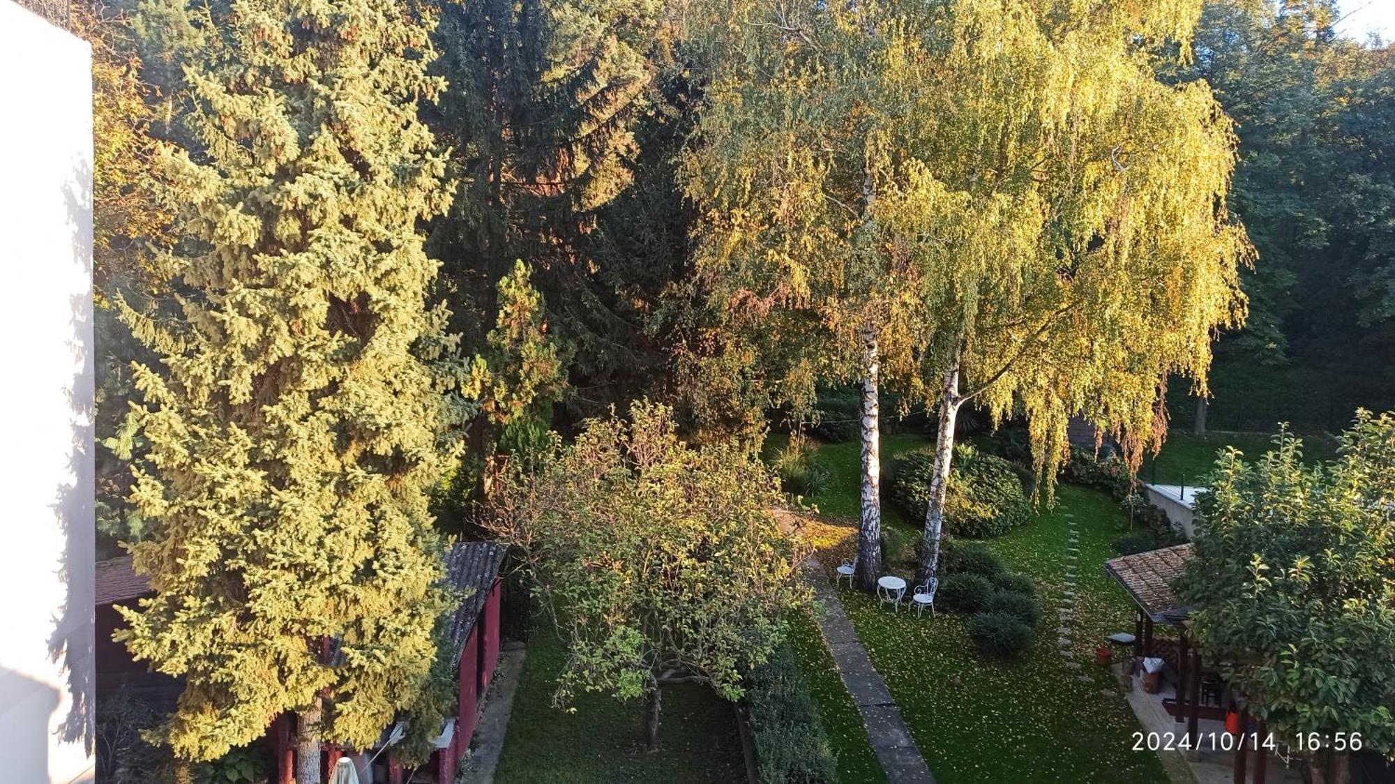 Apartman Oaza Olja Belgrad Dış mekan fotoğraf