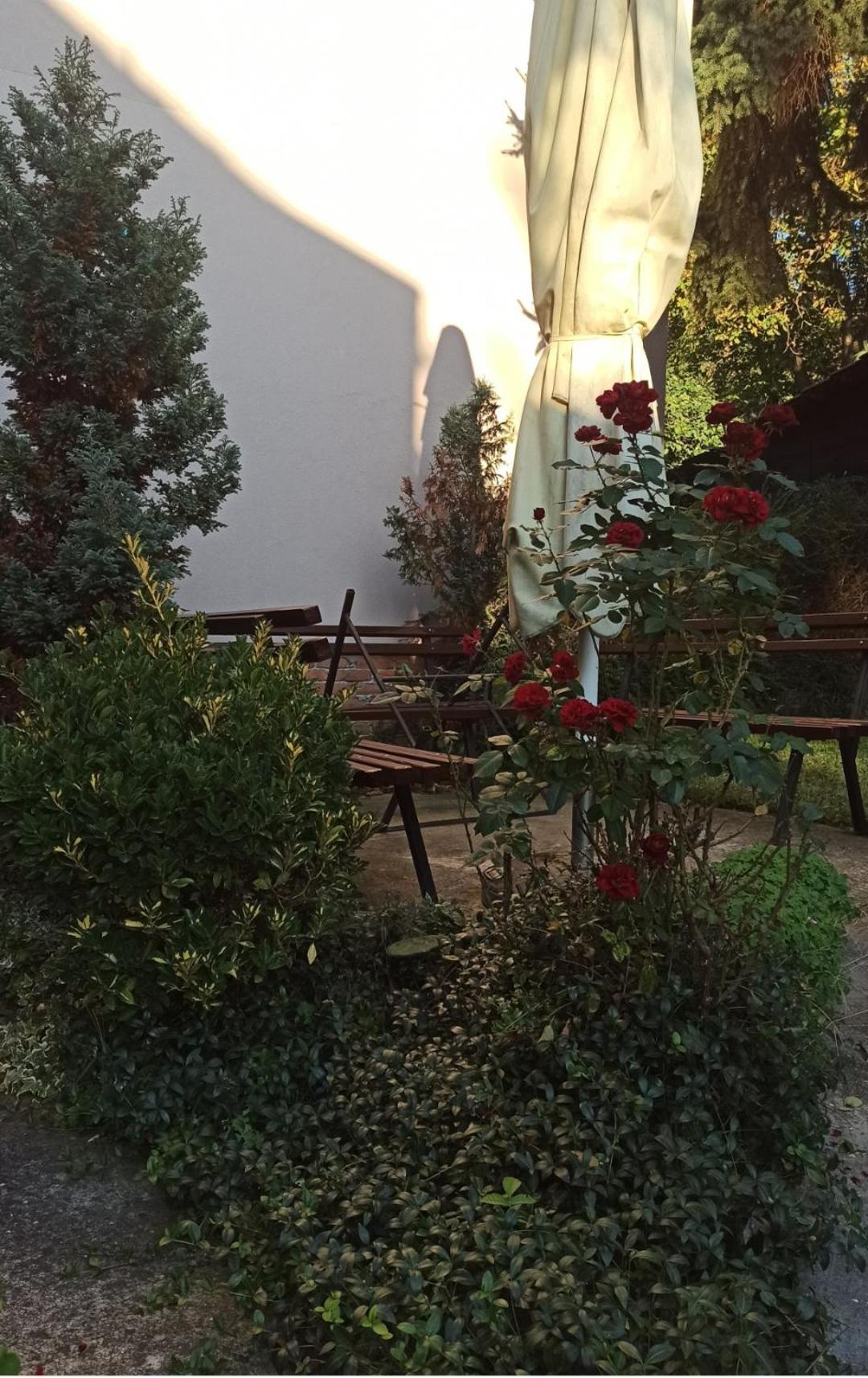 Apartman Oaza Olja Belgrad Dış mekan fotoğraf